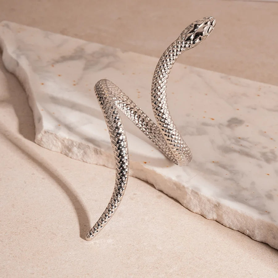 Serena Serpent Bracelet & Ring Set